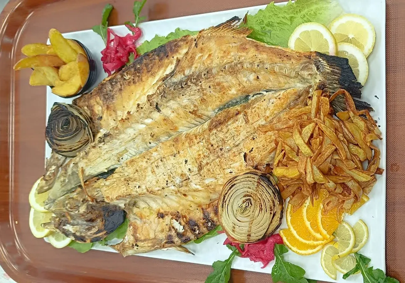 Kg Üstü Deniz Levrek